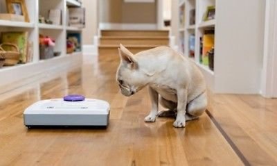 Neato Botvac 80-HP Robot Vacuum Cleaner (Refurbished)